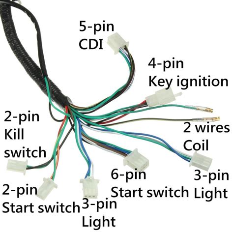 atv wiring diagrams for dummies 